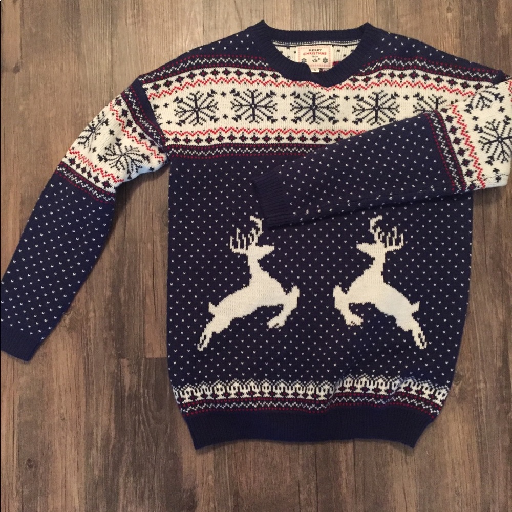Blue reindeer Christmas sweater